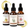 image:imageYANIBEST Ginger Oil Rosemary Oil for Hair Strengthening amp Healthy Scalp Treatment for Split Ends and Dry Scalp for All Hair Types for Women Men